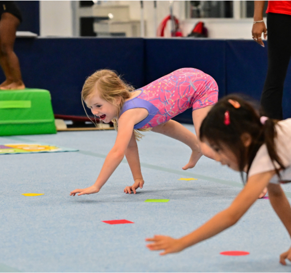 open-gym open-gym